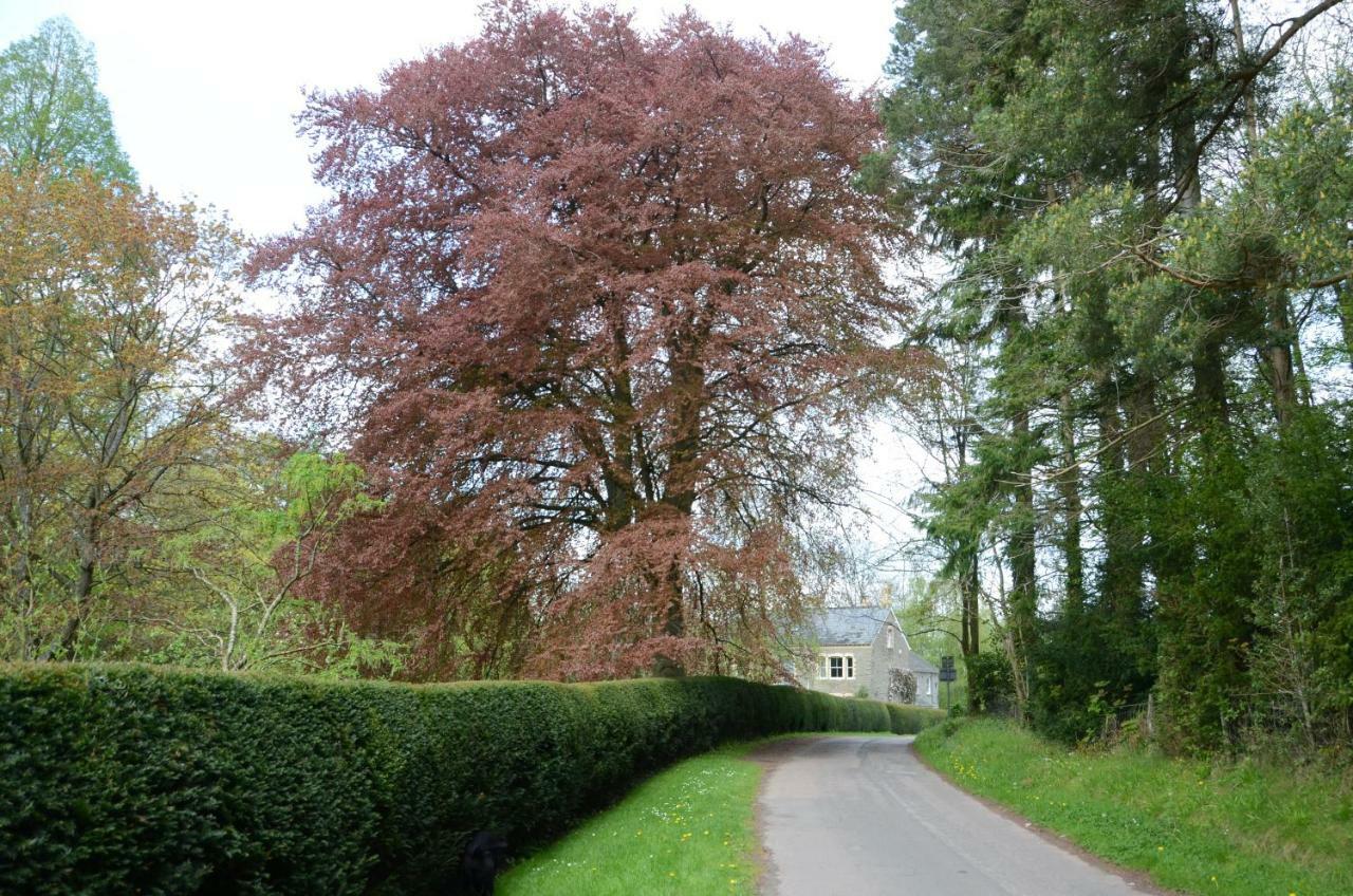 Rosedale Retreat Bed And Breakfast Hay-On-Wye Extérieur photo